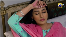 Shiddat - Episode 01 - 12th February 2024